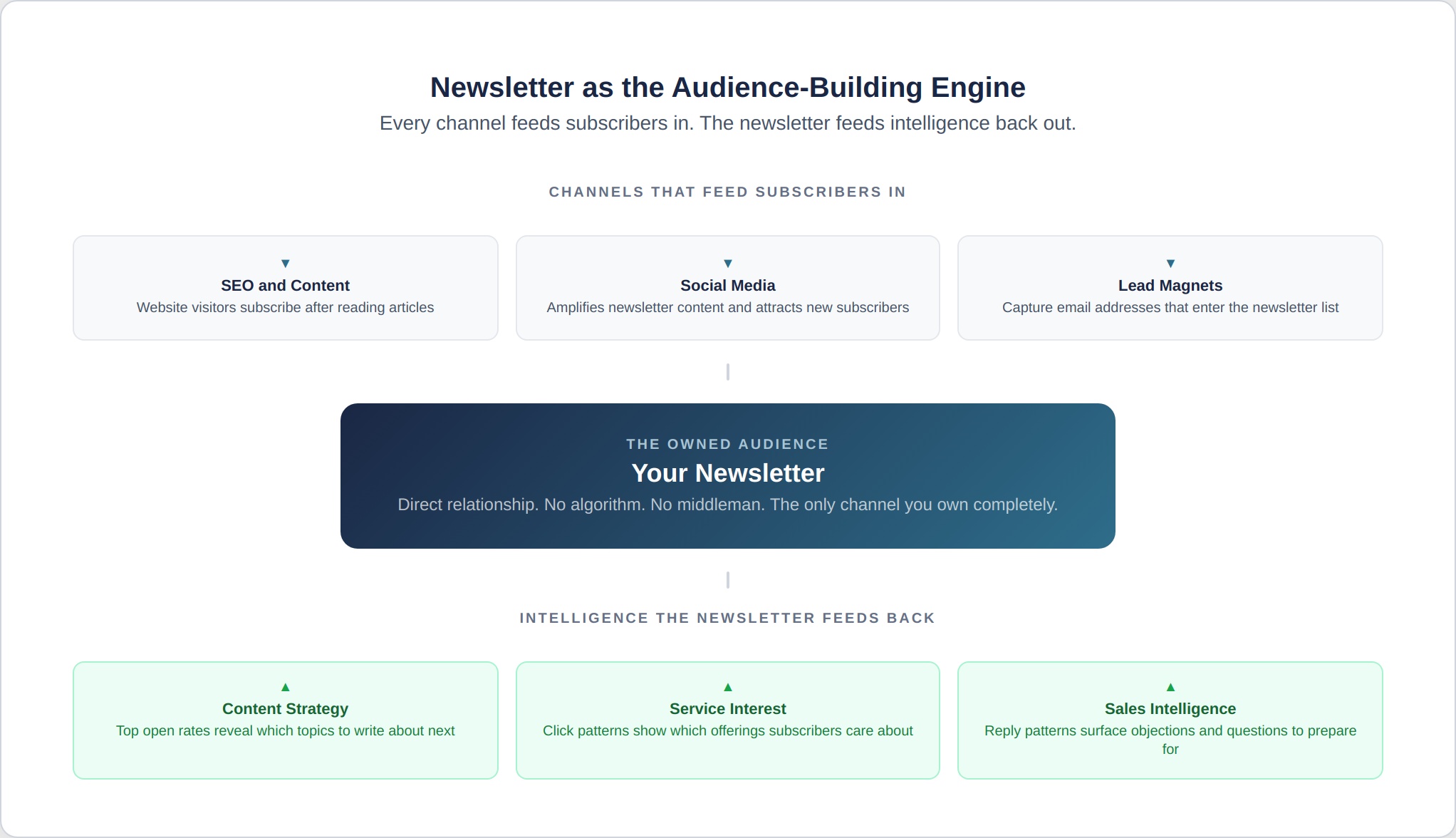 newsletter-6-audience-building-engine